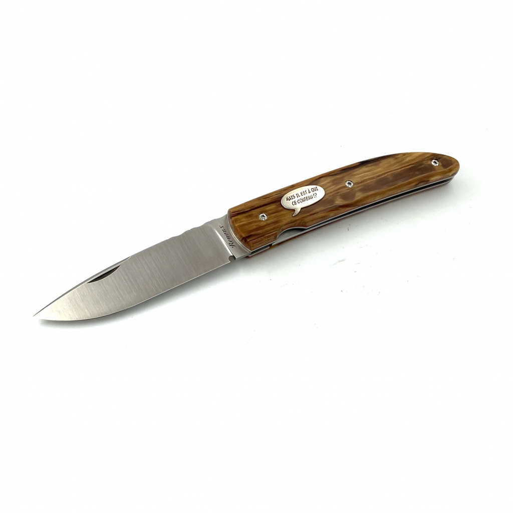 NAUTILYS BD-HETRE ECHAUFFE-INSERT-001-10