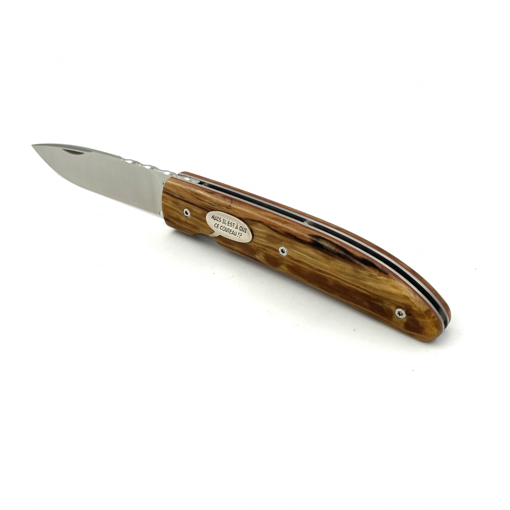 NAUTILYS BD-HETRE ECHAUFFE-INSERT-001-14